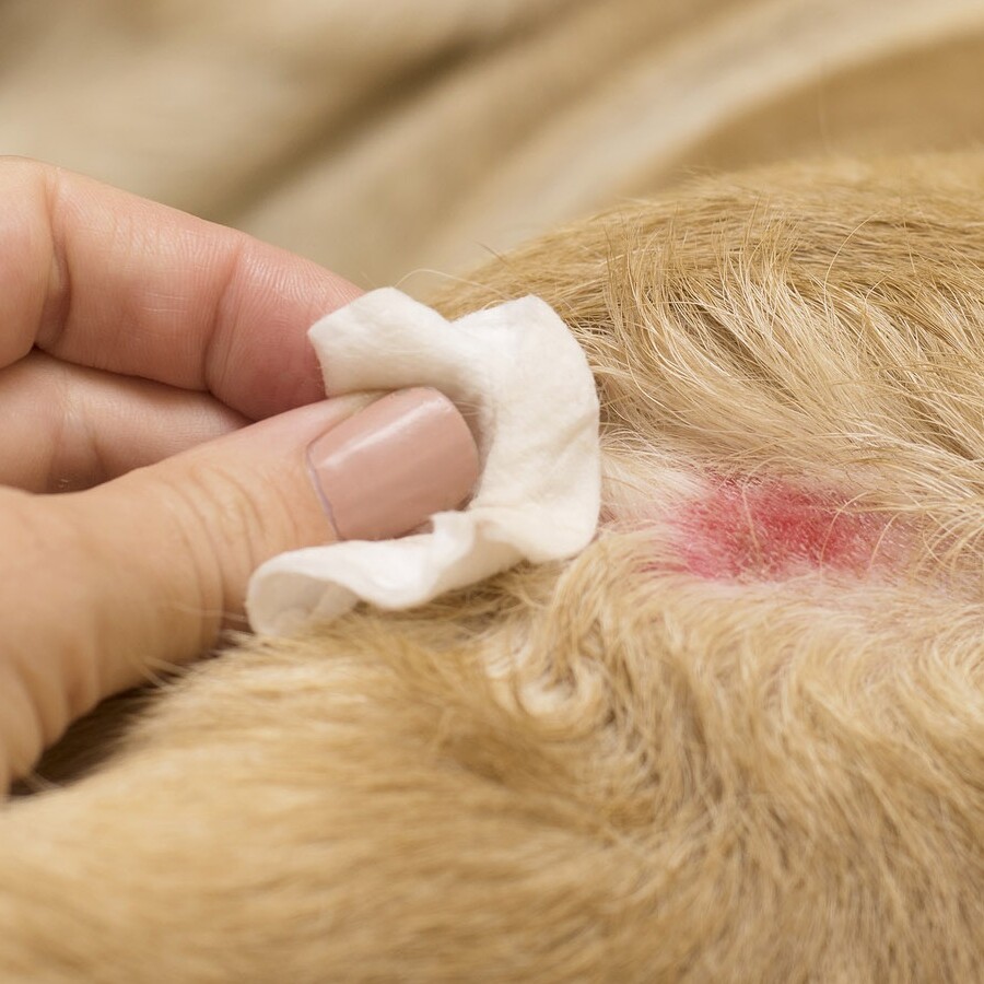 TVD-Partner-fuer-Tieraerzte-18