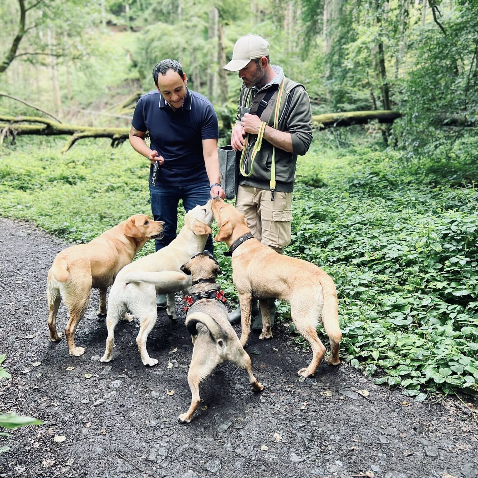 Dr. Haytham Shariff Drachenberg mit Hunden im Wald